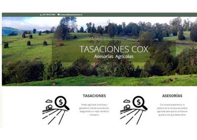 Tasaciones Cox